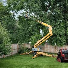 Best Commercial Tree Services  in Los Chaves, NM